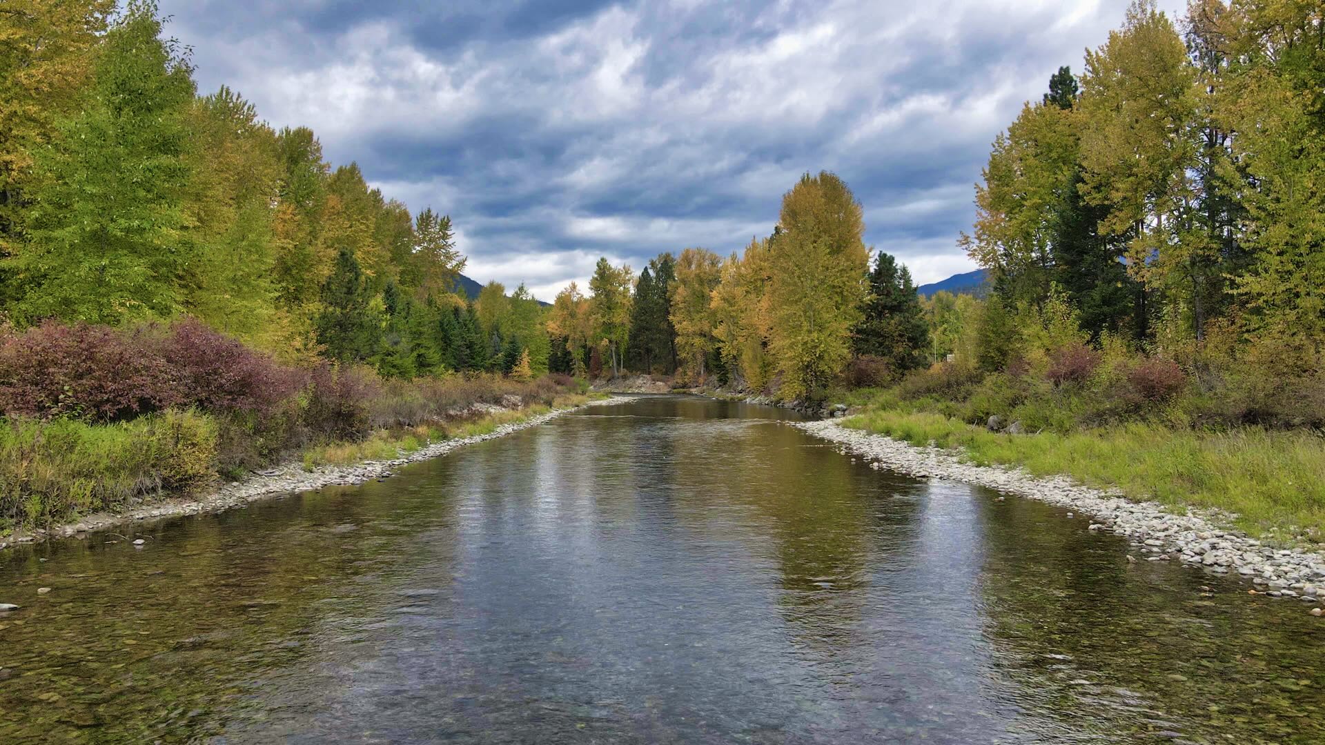135 Riverfront Acres NW Montana in 4 Lots. Timber. Borders Public Land. Easy Access.